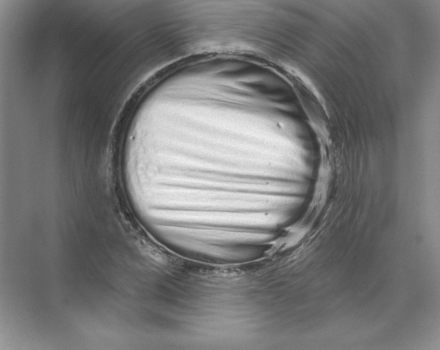 X0000074220975200609222003