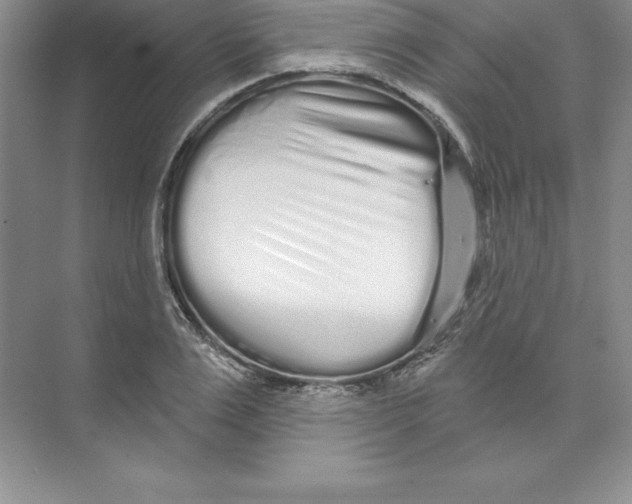 X0000074220983200609222003