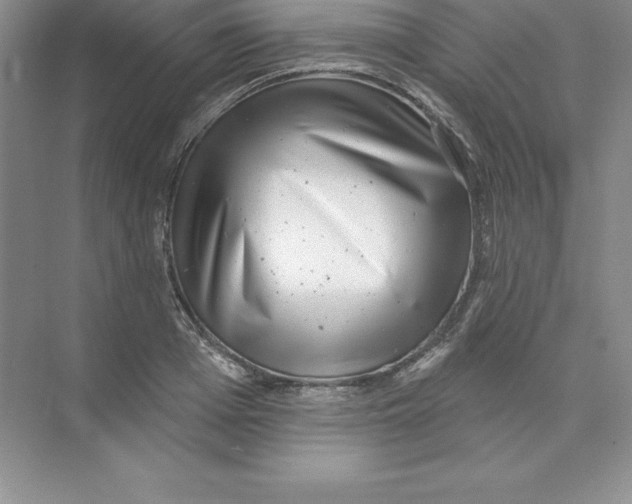 X0000074220985200609222003