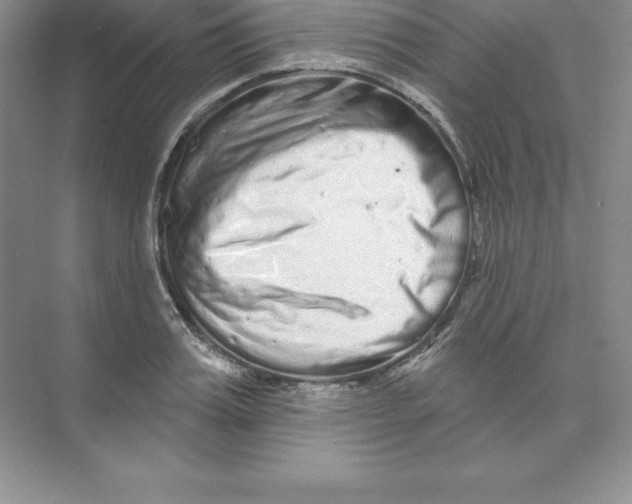 X0000074220987200609222003