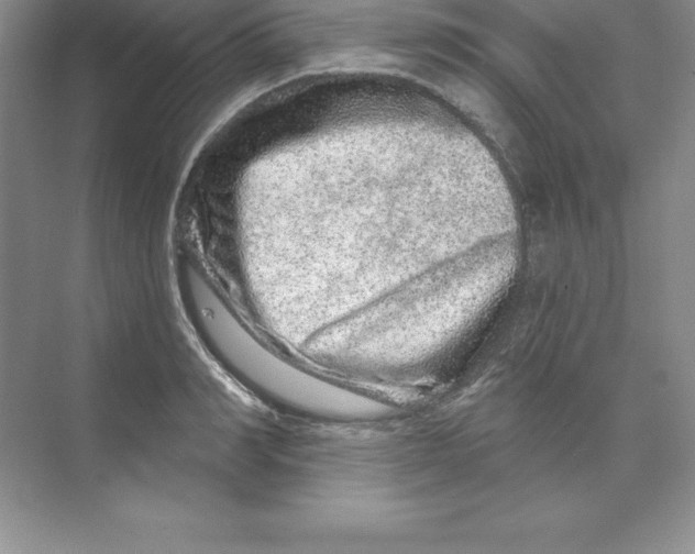 X0000074220990200609222003