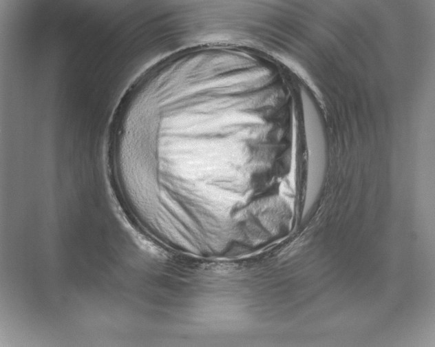 X0000074220991200609222003