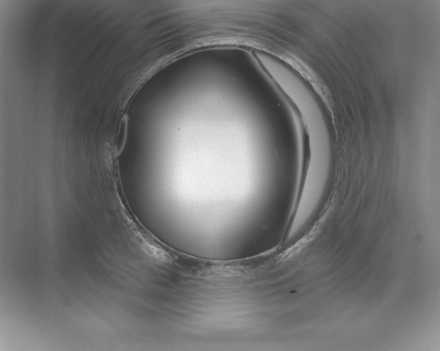 X0000074220993200609222003