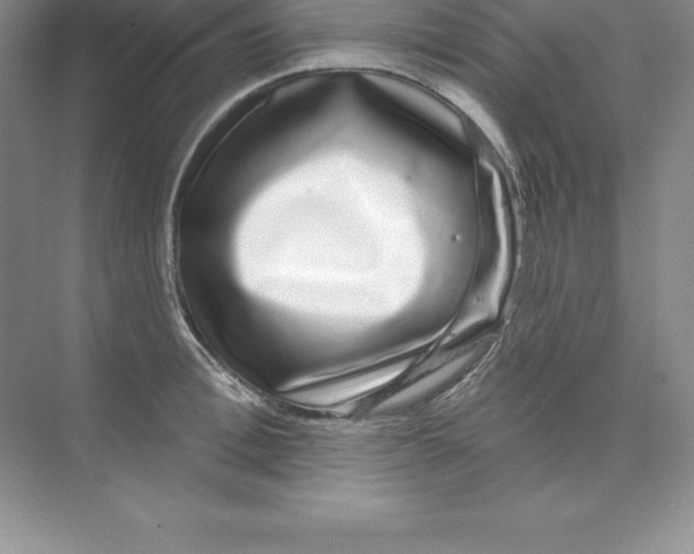 X0000074220996200609222002