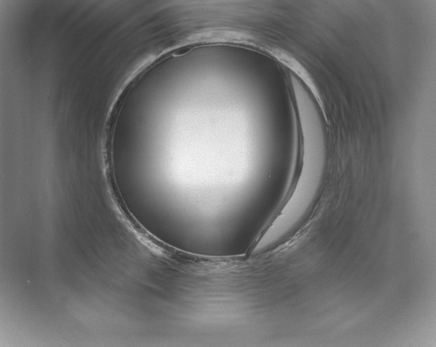 X0000074220997200609222002