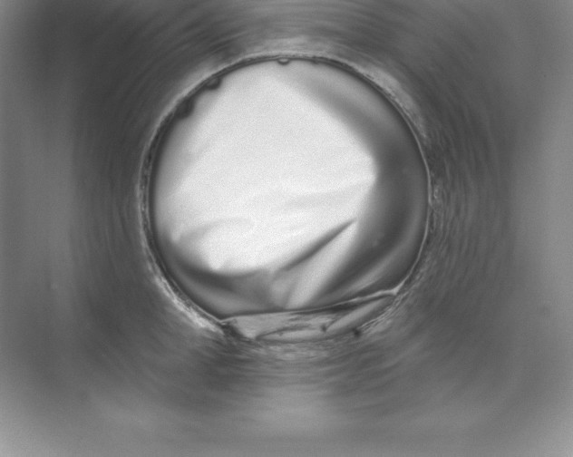 X0000074220998200609222002
