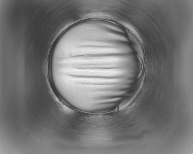 X0000074220999200609222002