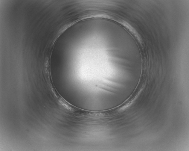 X0000074221001200609222002