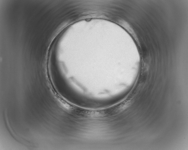 X0000074221002200609222002