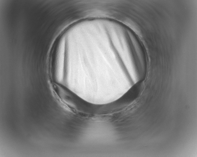 X0000074221008200609222002