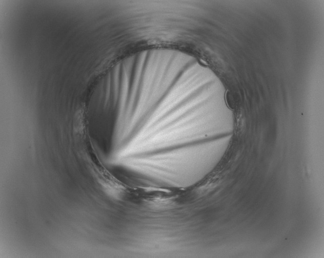 X0000074221012200609222001