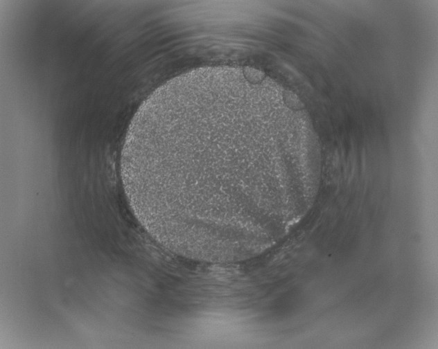 X0000074221013200609222002
