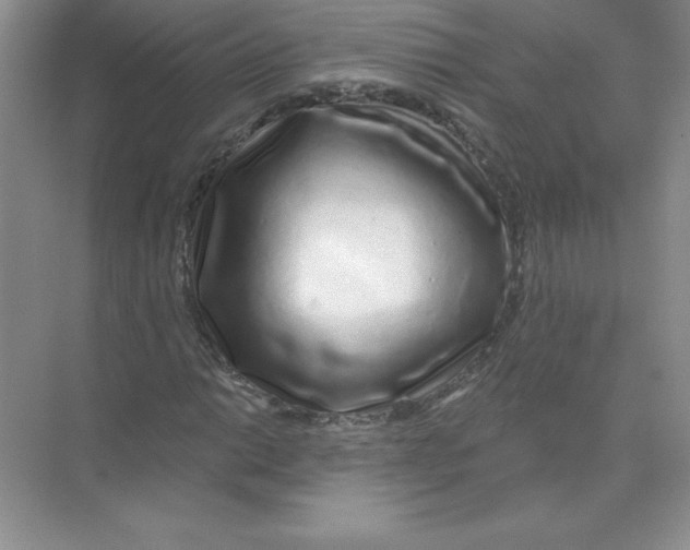 X0000074221014200609222002