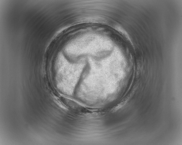 X0000074221019200609222002