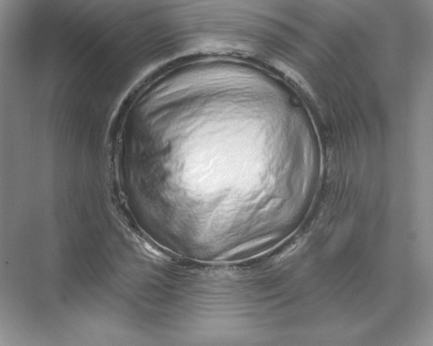 X0000074221021200609222002