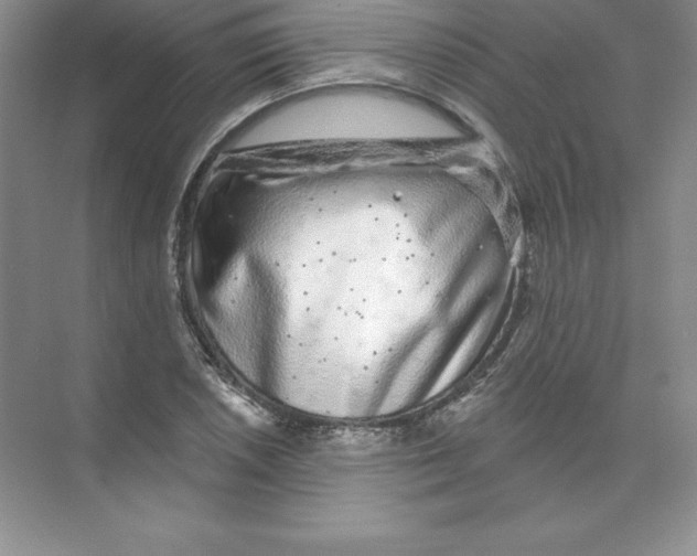 X0000074221026200609222002