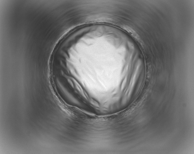 X0000074221031200609222002