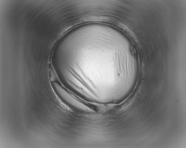 X0000074221033200609222002