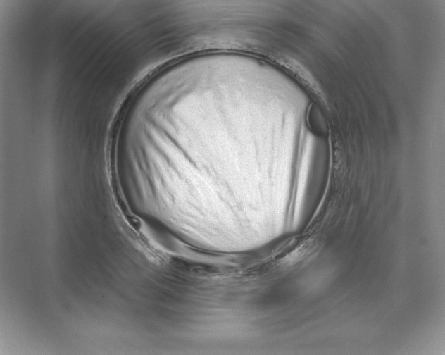 X0000074221035200609222002