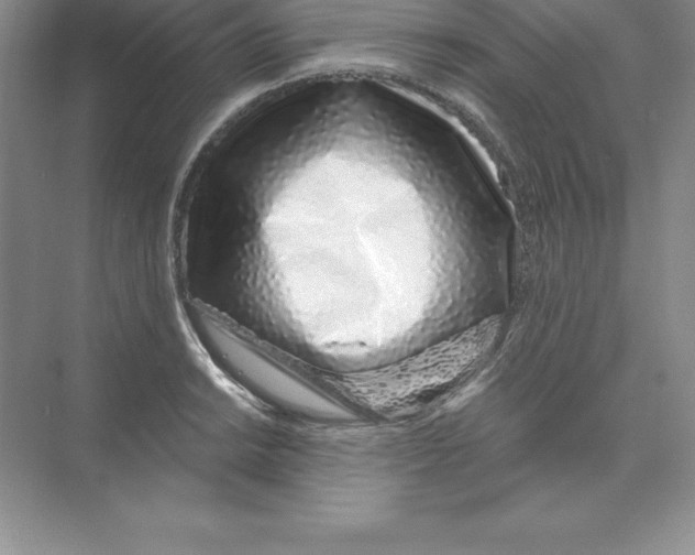 X0000074221038200609222002