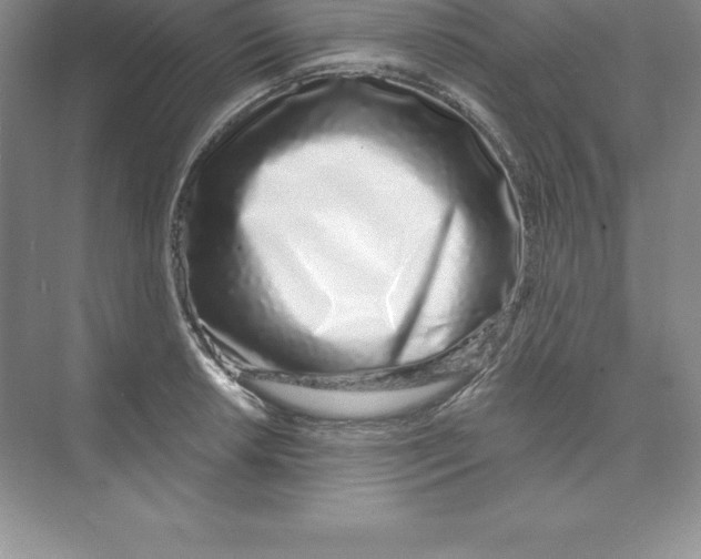 X0000074221042200609222002