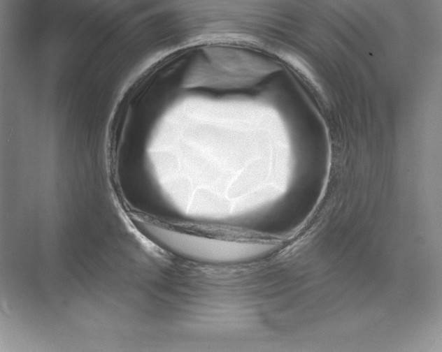 X0000074221046200609222002