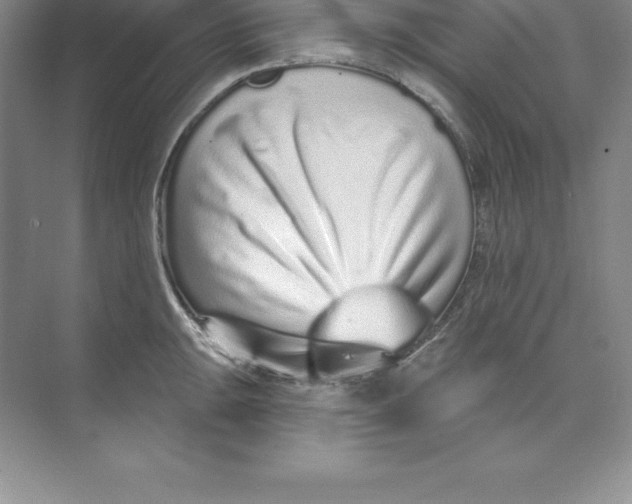 X0000074221047200609222002