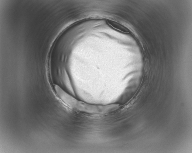 X0000074221048200609222002