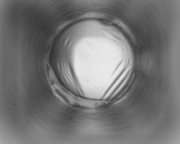X0000074221049200609222002