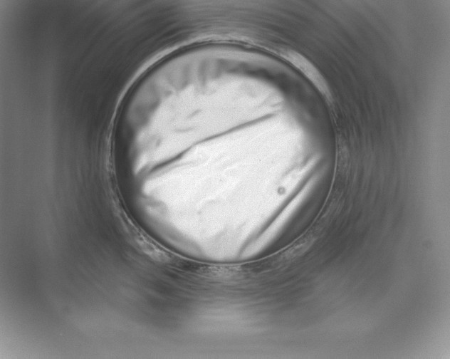 X0000074221052200609222002