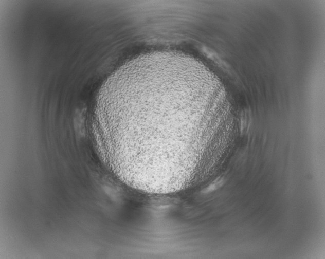 X0000074221059200609222001