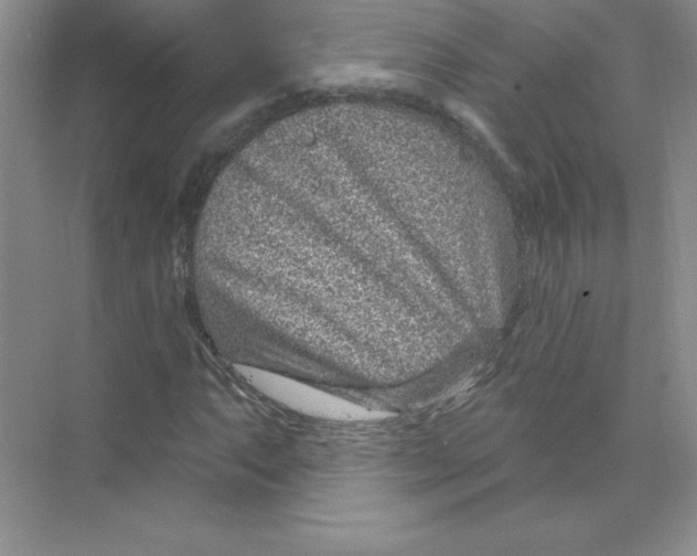 X0000074221063200609222001