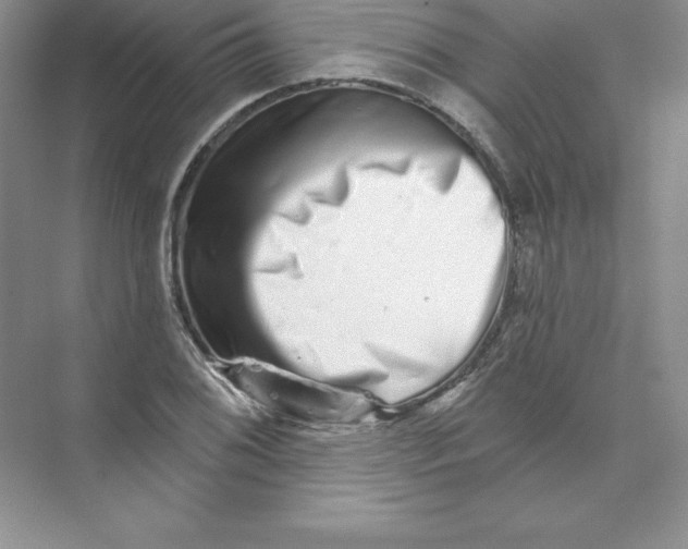 X0000074221076200609222001