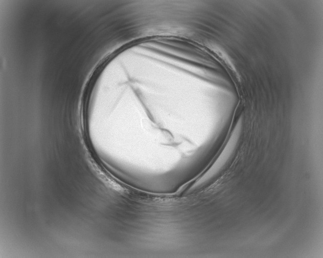 X0000074221080200609222001