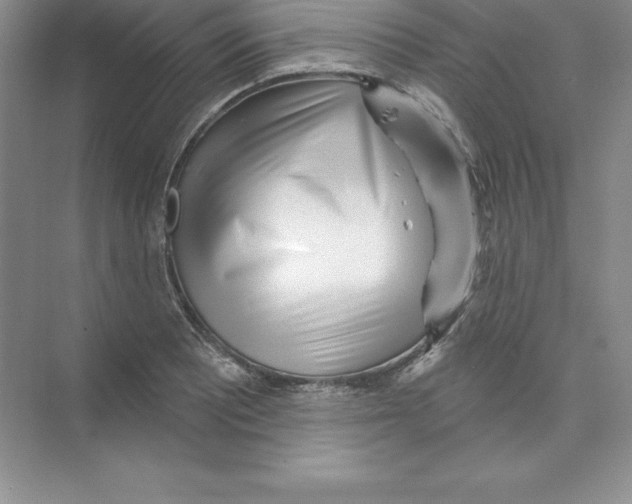 X0000074221081200609222001