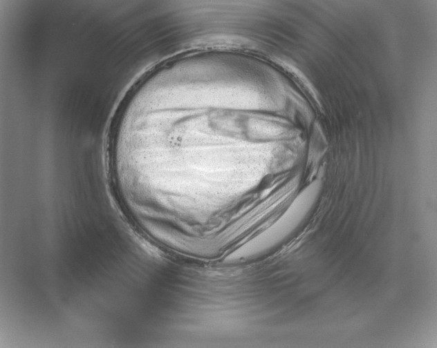 X0000074221083200609222001
