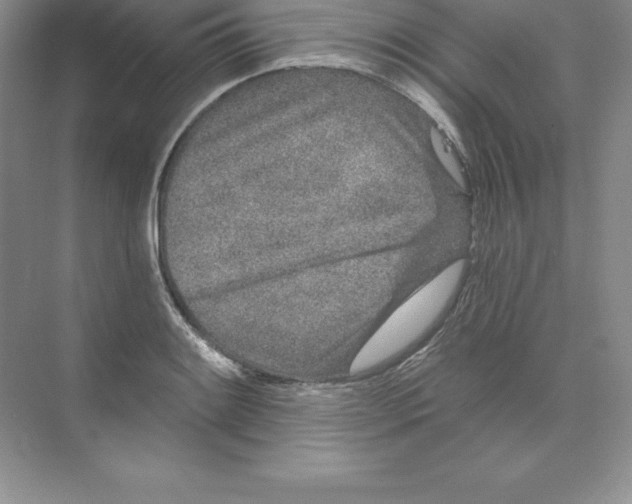 X0000074221084200609222001