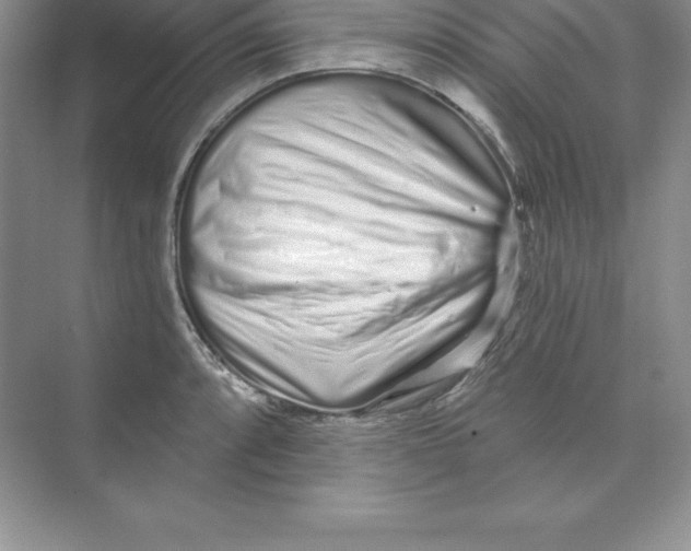 X0000074221088200609222001