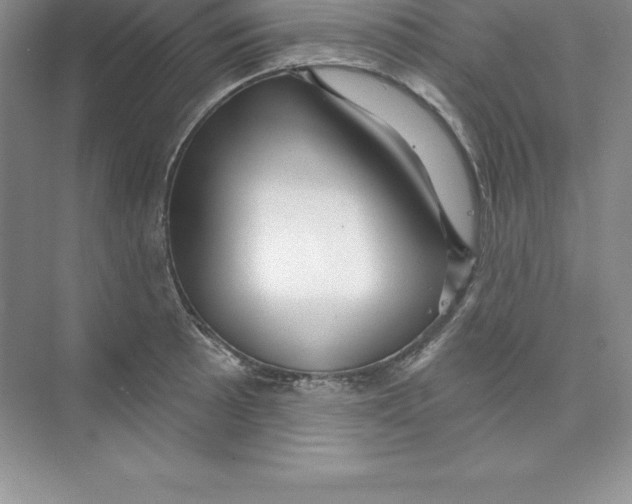 X0000074221089200609222001