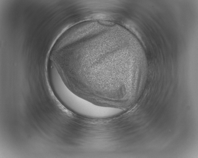 X0000074221091200609222001