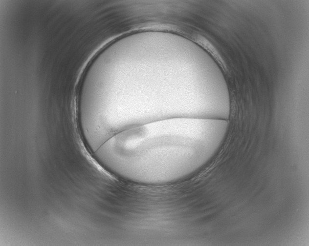 X0000074221092200609222001