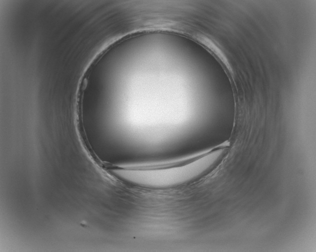 X0000074221093200609222001