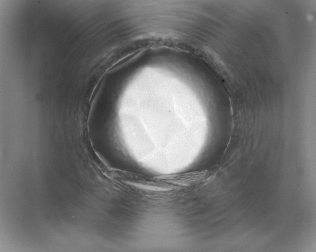 X0000074221110200609222000