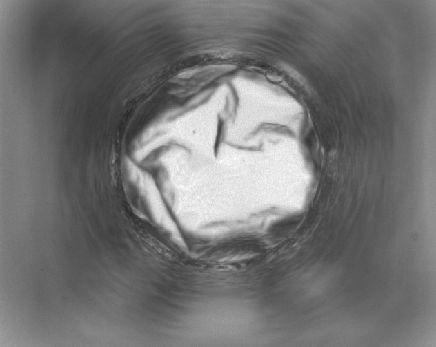 X0000074221111200609222000