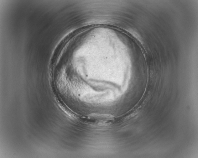 X0000074221119200609222000