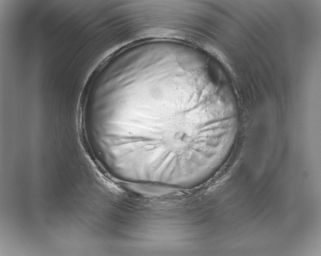 X0000074221125200609222000
