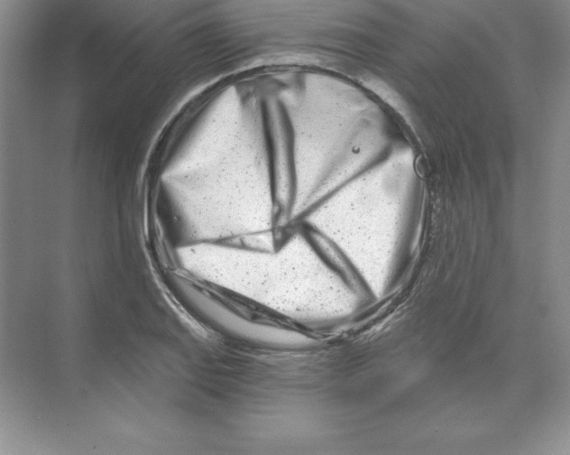 X0000074221127200609222000