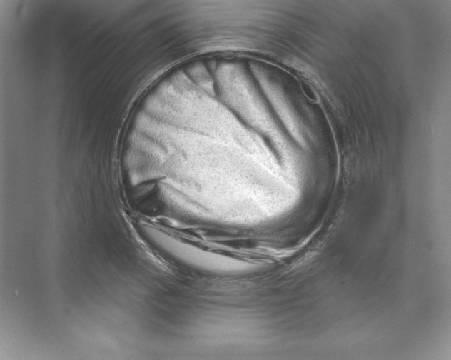 X0000074221129200609222000