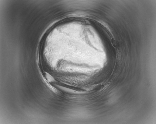 X0000074221131200609222000