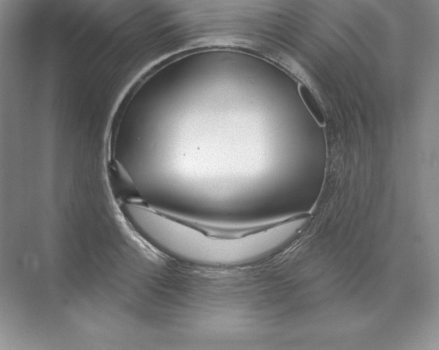 X0000074221132200609222000
